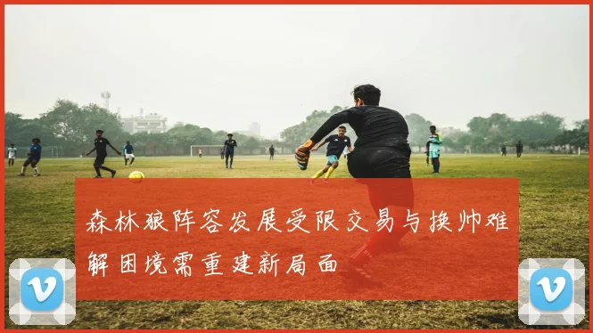 森林狼阵容发展受限交易与换帅难解困境需重建新局面