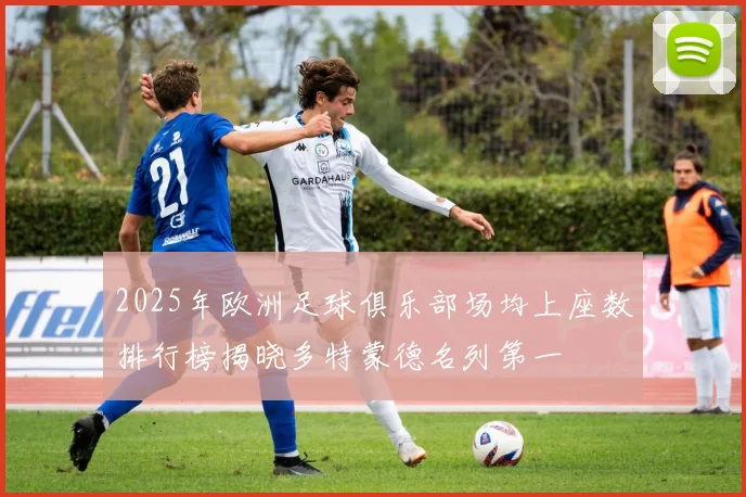 2025年欧洲足球俱乐部场均上座数排行榜揭晓多特蒙德名列第一